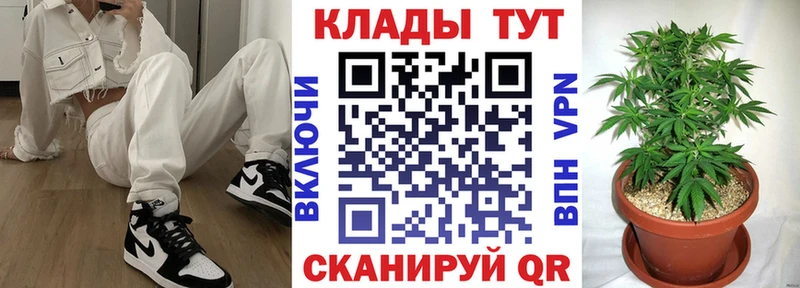 Где купить наркоту Кировград Каннабис  Меф  ссылка на мегу маркетплейс  ГАШ 