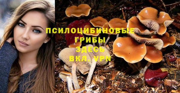 ALPHA-PVP Каменск-Шахтинский